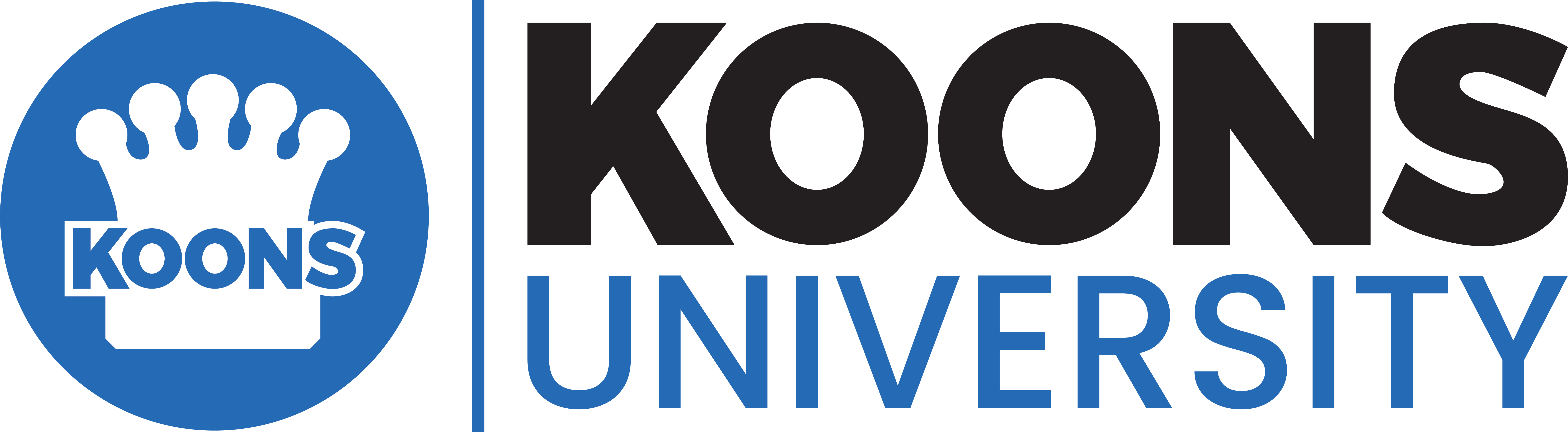 Koons university